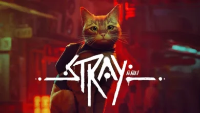 Stray Game Review