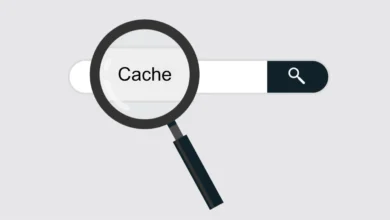 Google Search Webpage Cache